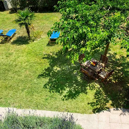 Summer In
