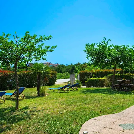 Summer In